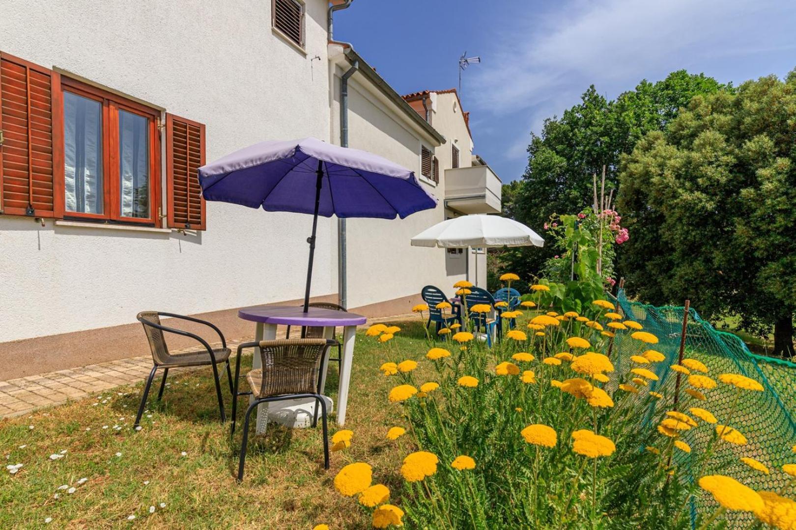 Apartments Pernar 포레치 외부 사진